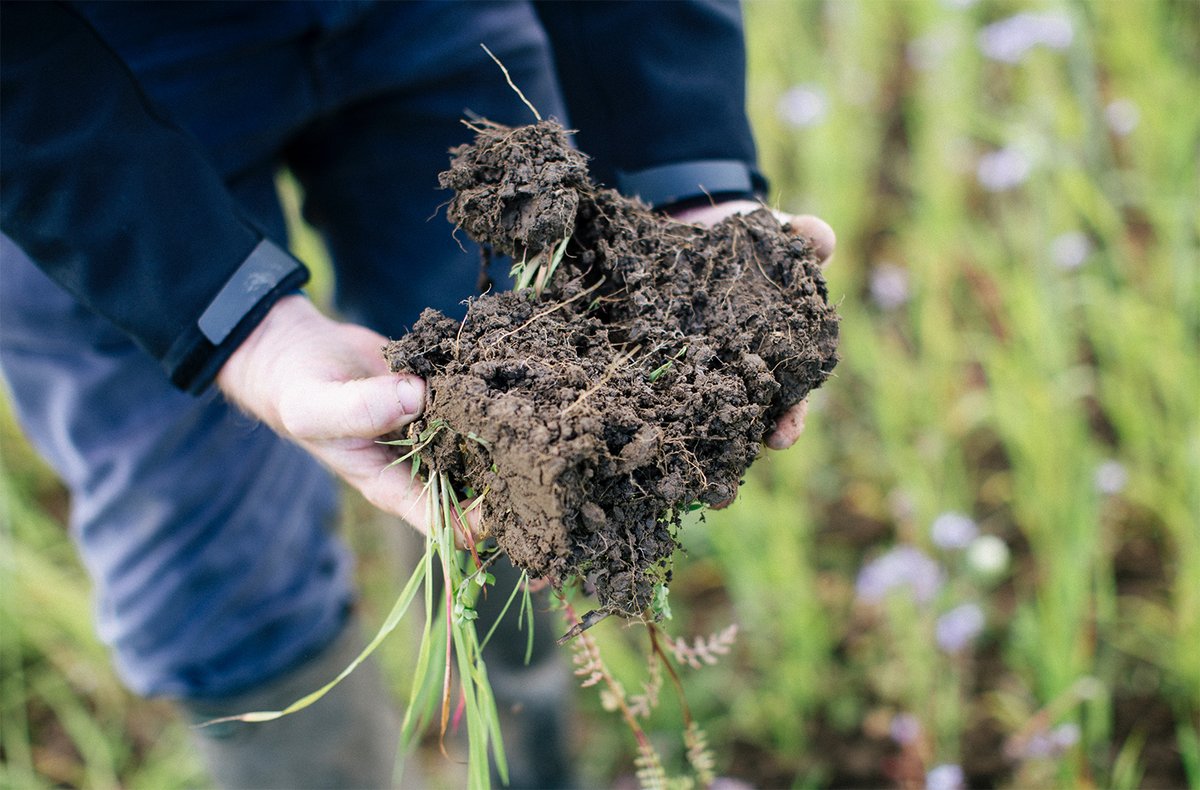 AgrovistaUK's tweet photo. According to the UK Government up to 2.9 million tonnes of topsoil are estimated to be lost to water and wind erosion annually in the UK. Find out how we’re helping our customers to change their approach to #SoilHealth here: https://t.co/Ly92syBGiz #WorldSoilDay #WSD #WSD19 https://t.co/iG5cfQUsYD