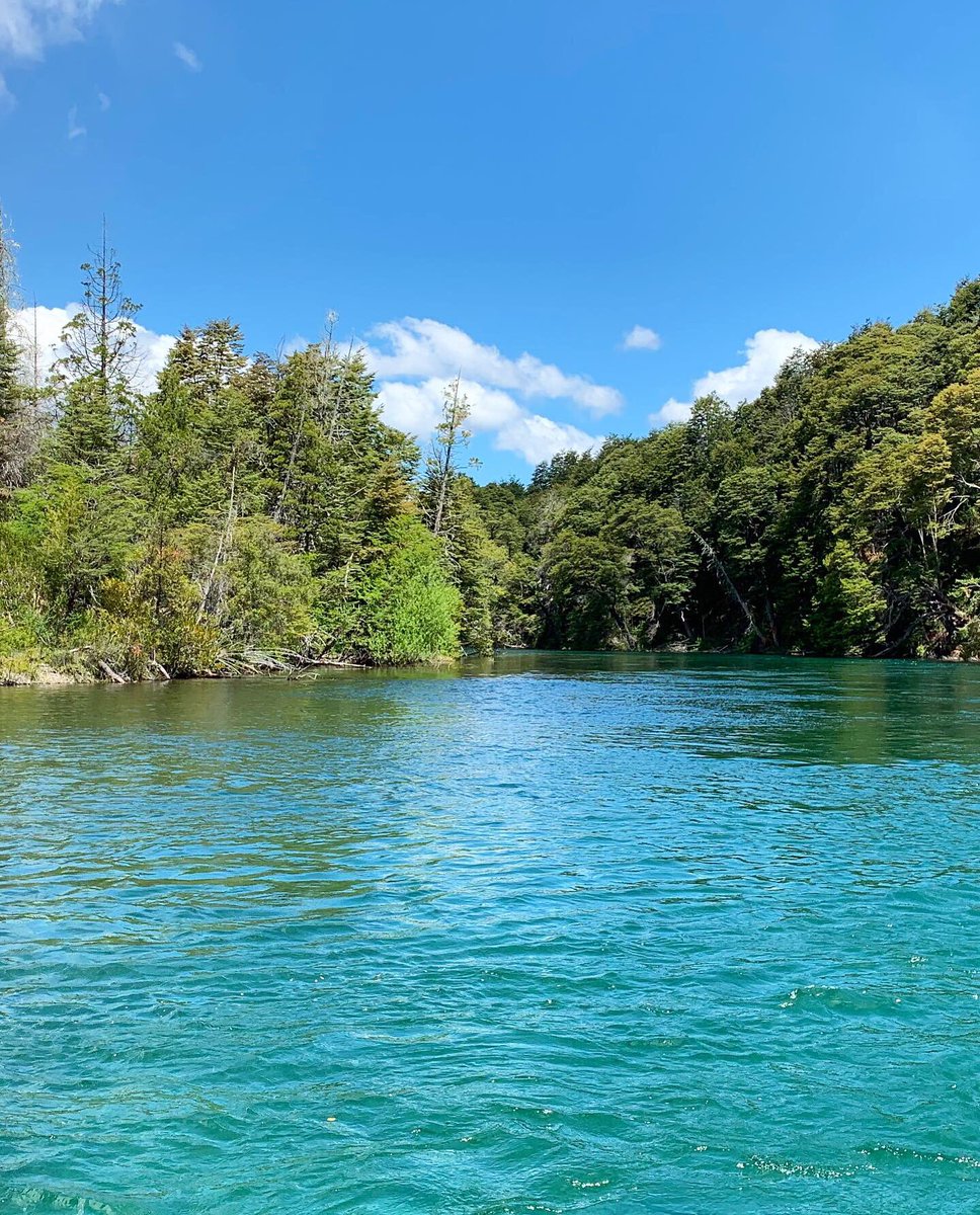 Justin got to sneak in a little fishing out on the Rio Lemay, while on his honeymoon in Patagonia. What a fish! 
Shop Manager: @jnolan55 
#minturnanglers #flyfishing #patagonia #browntrout #rainbowtrout #whileyouwereskiing