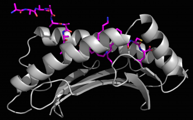 Journal of Biological Chemistry (@jbiolchem) on Twitter photo In a recent JBC Editors' Pick, UIC researchers and colleagues report a new mechanism for detecting foreign material during early immune responses. Read more in the highlight below:
today.uic.edu/early-immune-r…
<a href="/thisisUIC/">University of Illinois Chicago</a> <a href="/UICMicrobiology/">UIC Microbiology</a> #cancer #immunotherapy In a recent JBC Editors' Pick, UIC researchers and colleagues report a new mechanism for detecting foreign material during early immune responses. Read more in the highlight below:
today.uic.edu/early-immune-r…
<a href="/thisisUIC/">University of Illinois Chicago</a> <a href="/UICMicrobiology/">UIC Microbiology</a> #cancer #immunotherapy