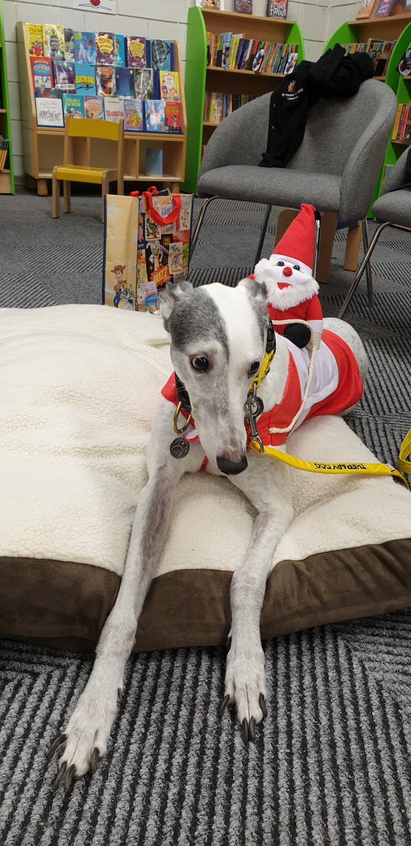labrussels's tweet photo. Aww the lovely Dotty paid a visit to #parrLibrary , to listen to the children read.  #LoveLibraries #lovebooks #books #theropydogs https://t.co/abpjjj4AFL