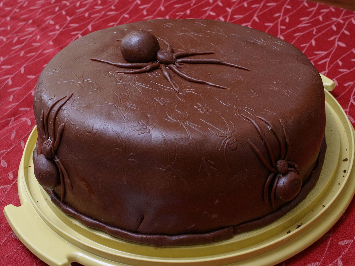 Ibycter's tweet photo. #SpiderCake https://t.co/wu5LsgNMva