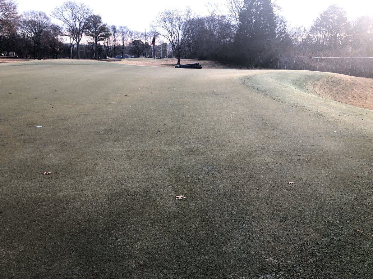 backthatgrassup's tweet photo. 16 green still has a few thin areas, but nowhere near what we were dealing with this time last year #basalpruning https://t.co/jFnqhjqLqq