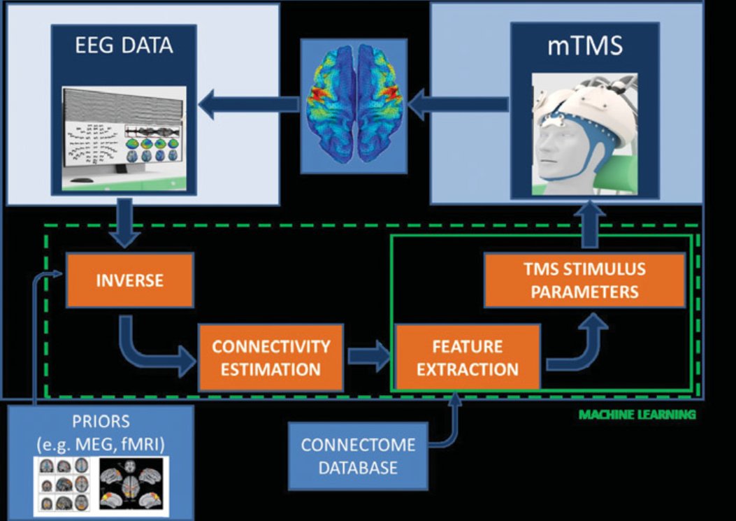 ConnectToBrain: Real-time coupling to the dynamics of the brain with feedback-controlled multi-locus transcranial magnetic stimulation

edition.pagesuite-professional.co.uk/html5/reader/p…

in @ScitechEuropa Quaterly 33, p. 152-153