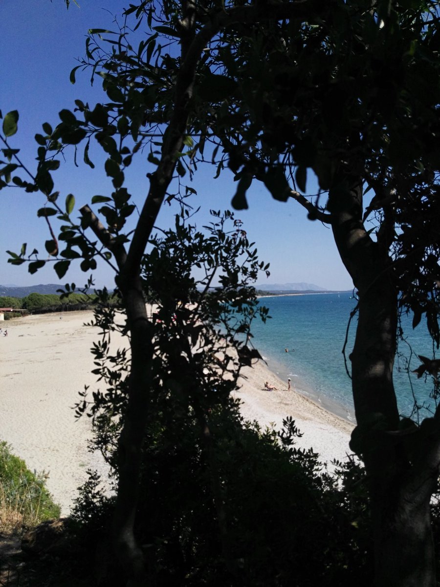 pinacannas's tweet photo. #eUnoDei posti più belli della mia terra!
È la spiaggia dove ho trascorso le più belle vacanze, della mia vita.
#Sardegna
#ogliastra
#ricordi
#lemieradici https://t.co/o0VH1Y3fv8