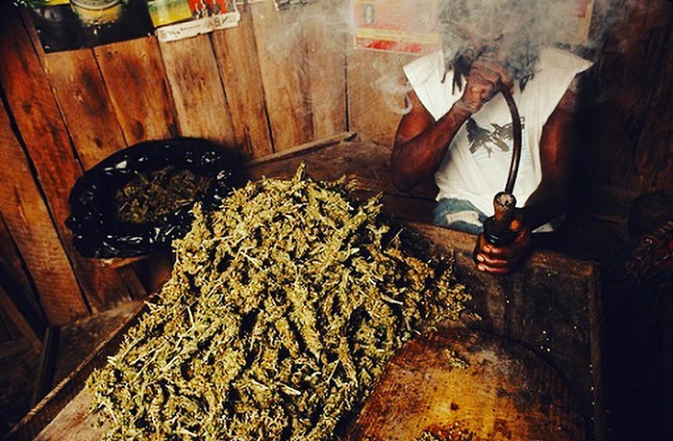 HotBox Jamaica tweet media