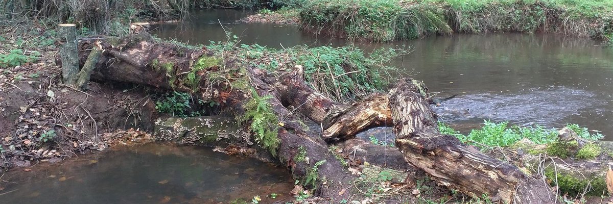 FWAGSouthWest's tweet photo. Make 2020 the year that you find out more about your local water catchment and how you can help reduce flooding events downstream on your farm @hillstolevels #slowtheflow #naturalfloodmanagement #FWAGresolutions https://t.co/kTiPZ14Wic https://t.co/wU2InoJC8H