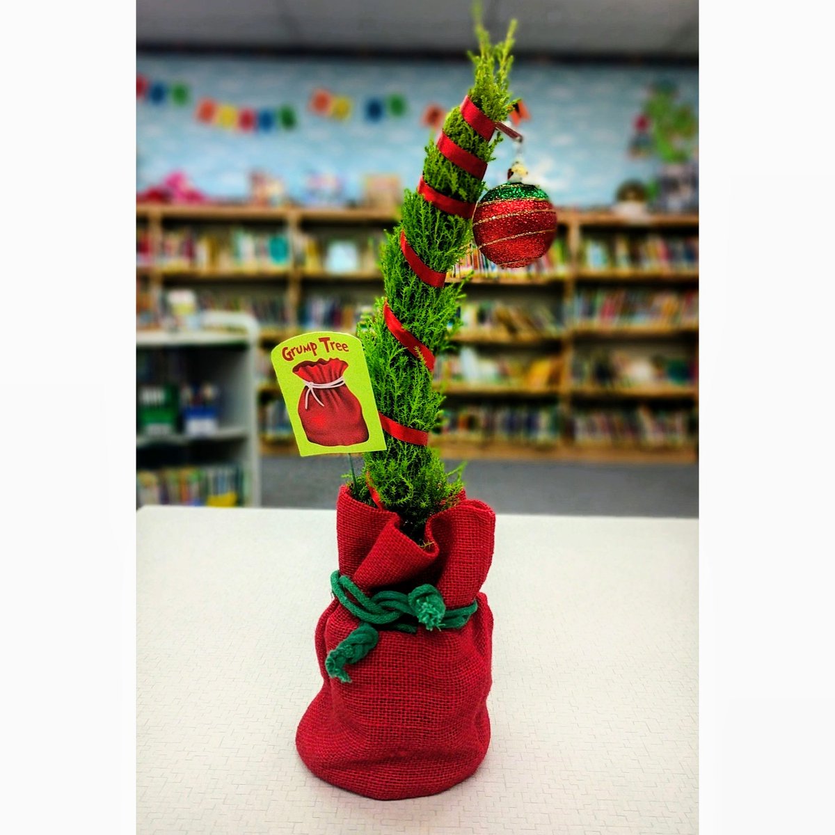 Our lil'grump tree 😍 So cute! #traderjoes #grumptree