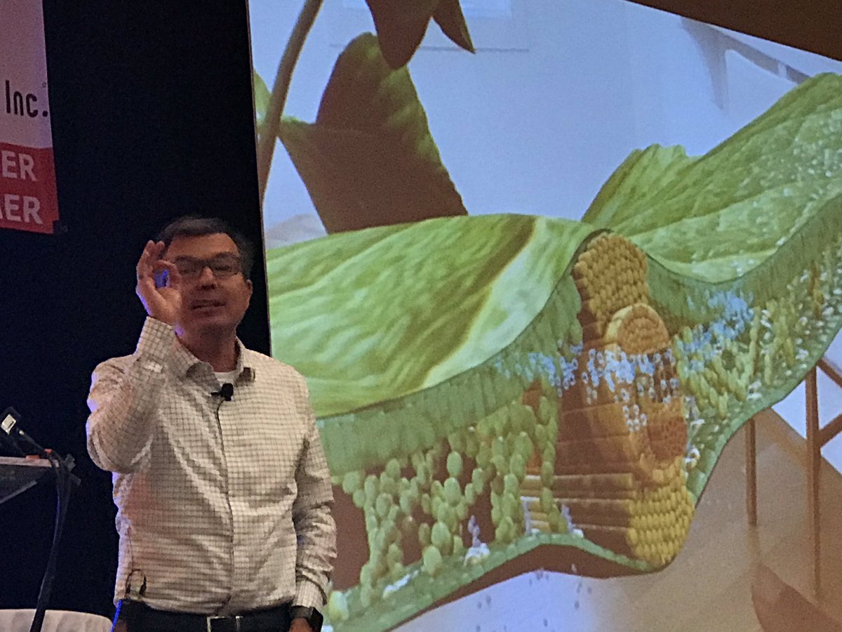 spedgeek's tweet photo. We need the messy people. We need the creatives. @jonlandis  #TETC19 https://t.co/VyGw4ML8PO