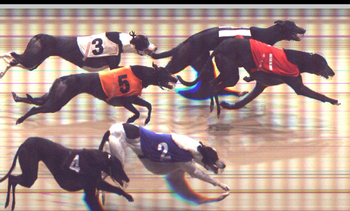 NewcastleDogs's tweet photo. @Sparkymarky25 says this will be the declaration....
We agree ...... #declared
@GBGBStaff @SunderlandDogs @pborogreyhounds @OwlertonRacing @Kinsley_Dogs @BelleVuedogs
18:39 Newcastle https://t.co/1ULFWonGZ7