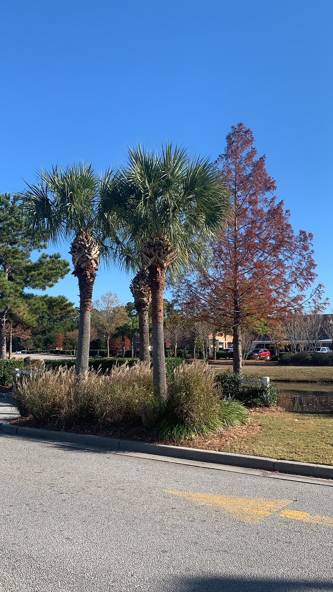 Can’t beat 65 and sunny!!!