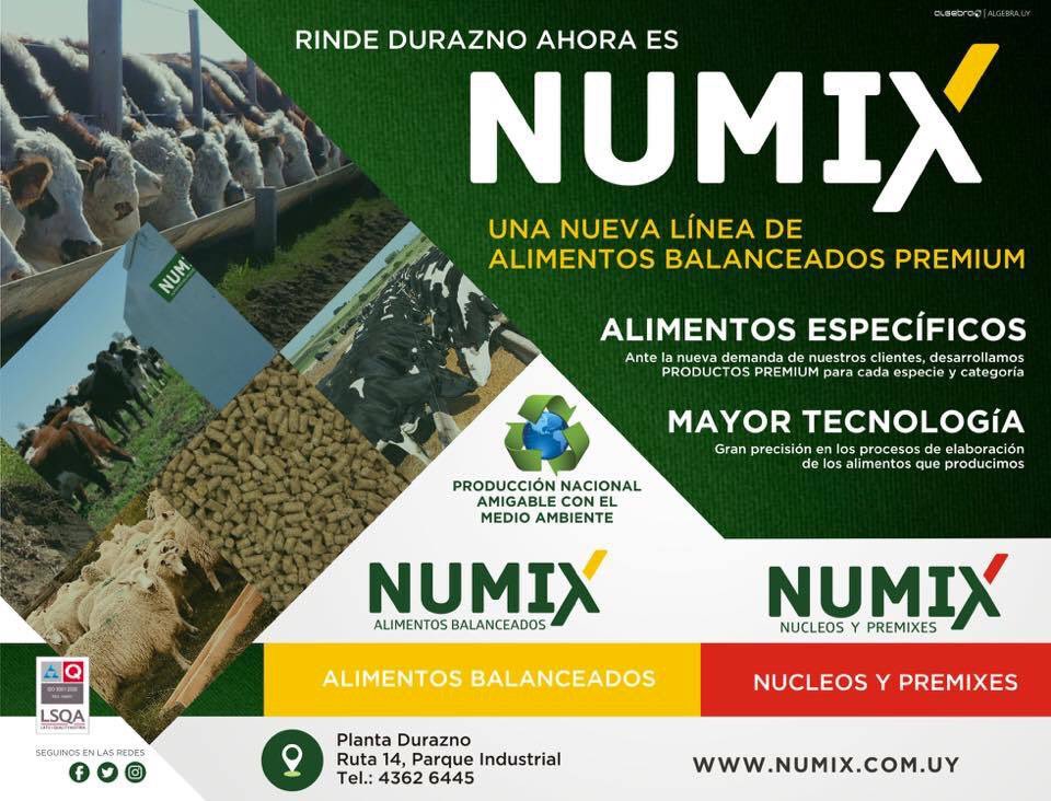 Numix tweet media