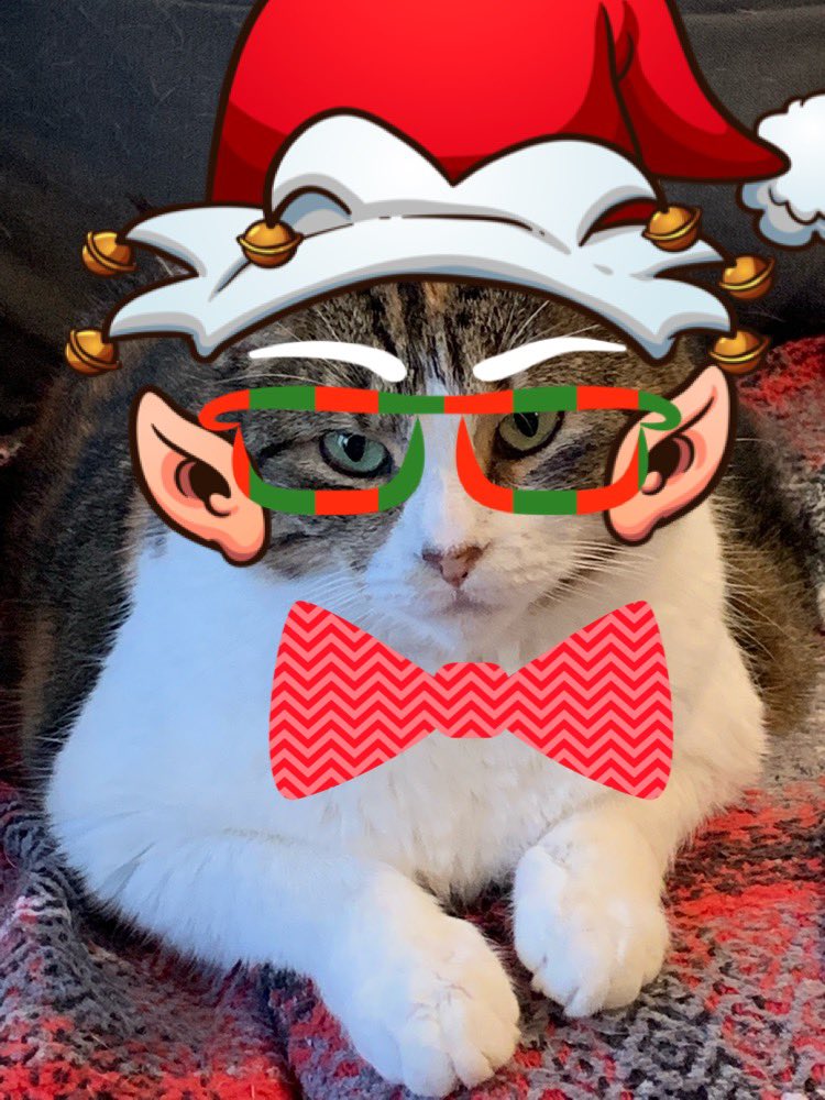 ECSGates tweet media