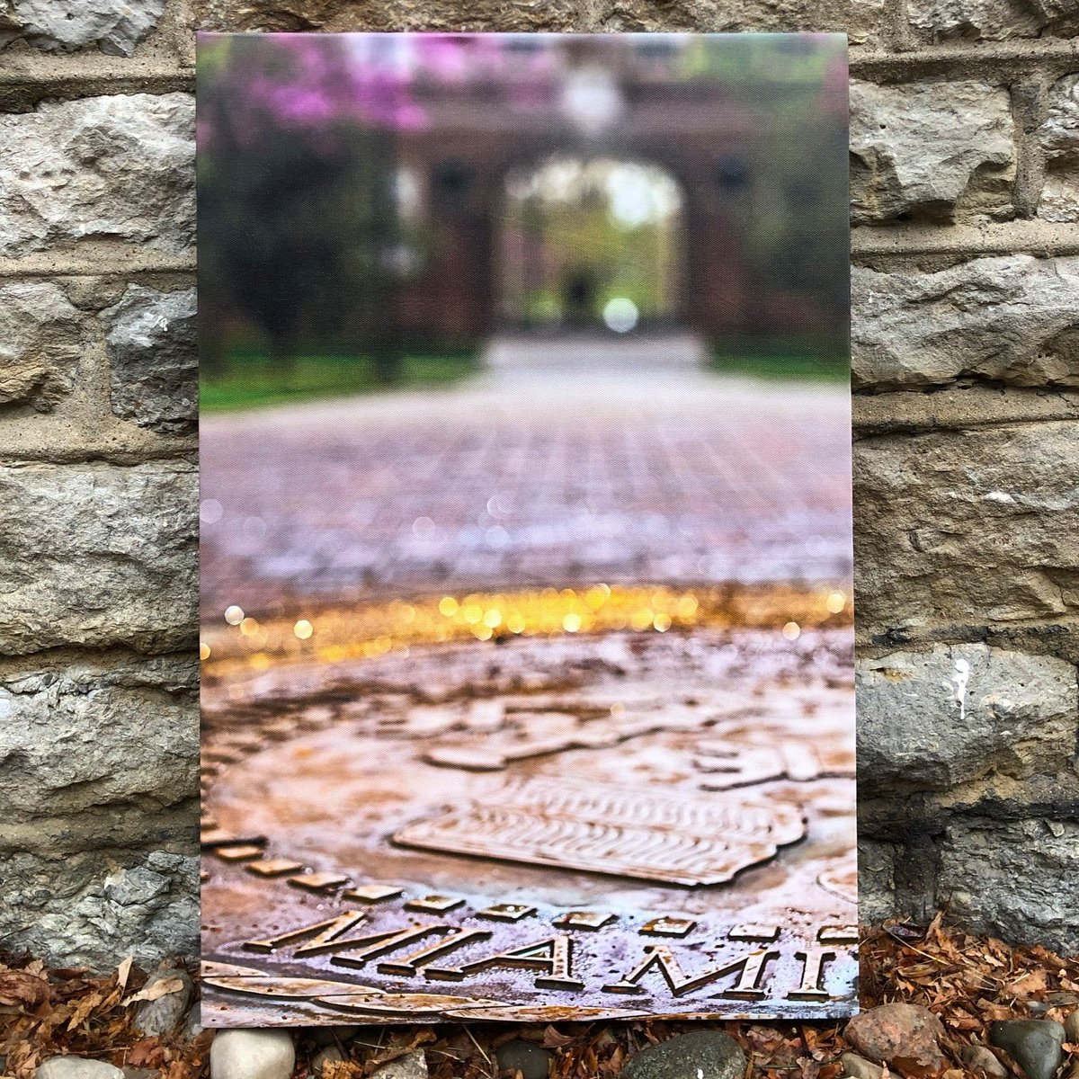 Shop Miami OH tweet media