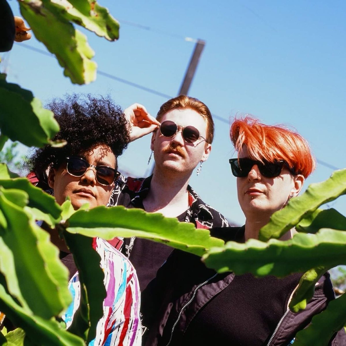 thepinhook's tweet photo. Just announced!!!
On sale tomorrow at 10am!!!
@SH0PP1NG / Automatic
Wed, March 25, 2020
Doors: 7 PM / Show: 8 PM
Tickets $10
All Ages
#thepinhook #nc #ncmusic #phknc #comehearnc #durham #since4eva https://t.co/m37EnCUwrU