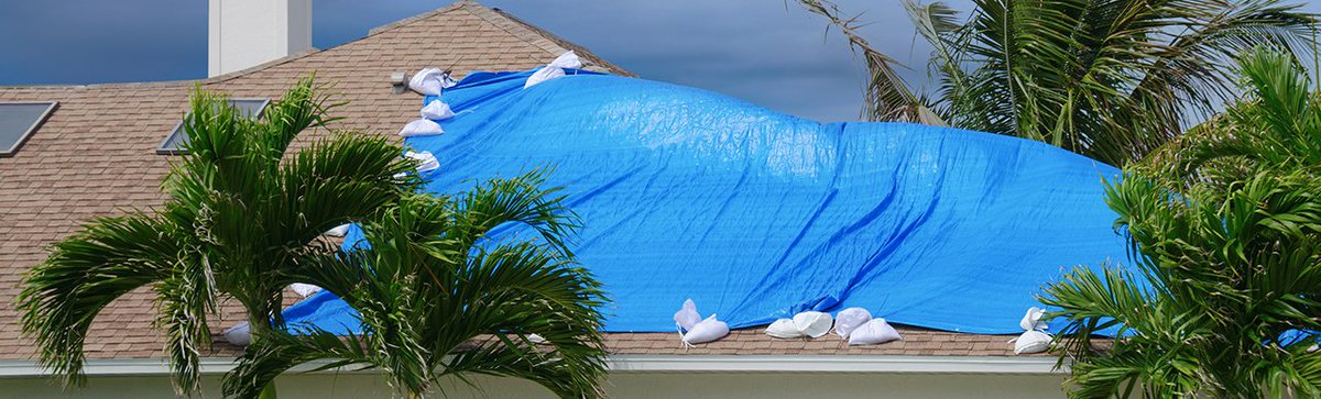 TheRestPros's tweet image. A roof #tarp doesn’t only stop the water when it rains. 
It also protects the inside of your #home. If #water leaks through your roof, it can cause costly damage. That includes mold growth, wet insulation, rot, short-circuits, and personal property losses. bit.ly/RoofTarpingbyH…