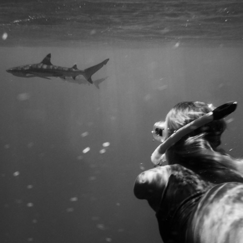 Bethany Hamilton tweet media