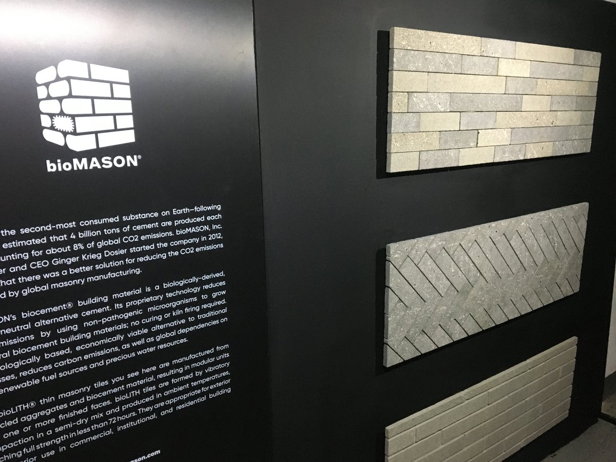 Thomas Meany tweet media