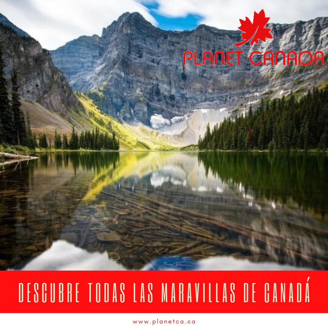 canada_planet's tweet photo. Disfruta de los multiples beneficios familiares que tiene Canadá para ti, como educación gratuita para tus hijos menores de 18 años. 😎 .
.
.
.
#canada #toronto #estudia #vive #trabaja #job #estudiaencanada #viveencanada #montreal #vancouver #intercambio #visa #migracion #vis https://t.co/1ovLDA9gzz
