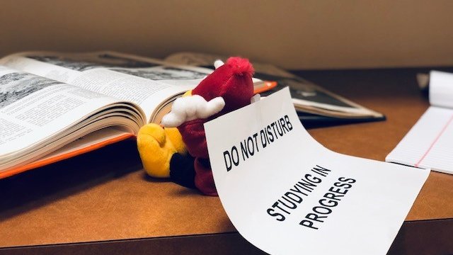 UofSC_TCoop's tweet image. Cocky is hunkering down to study for his exam and can’t be distracted with everyone crowing! So, he nested in a #TCoop silent study carrel because it&apos;s the perfect Do Not Disturb space. (That means you don’t need a sign, Cocky).

#UofSC #FinalsWeek #CockysTrekThroughTCoop