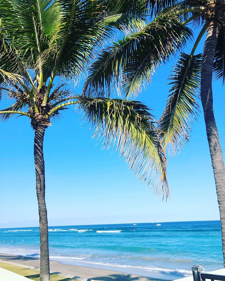 Winter in Florida ❄️
•
•
•
#modernluxury #mlpalmbeach #palmbeach #winter #florida #weekend #saturday #saturdayvibes #weekendvibes