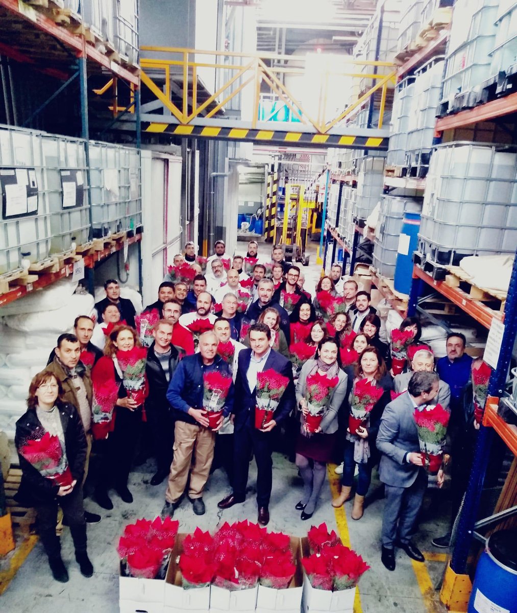 Desde Laiex celebramos hoy, el ya tradicional, "Felices fiestas equipo", colaborando, un año más, con la Fundación Novaterra  <a href="/fnovaterra/">Fundación Novaterra</a>, en la Campaña "Más que una flor". Contribuyendo, con esta flor de pascua, a esas 4.000 personas en riesgo de exclusión socio laboral.