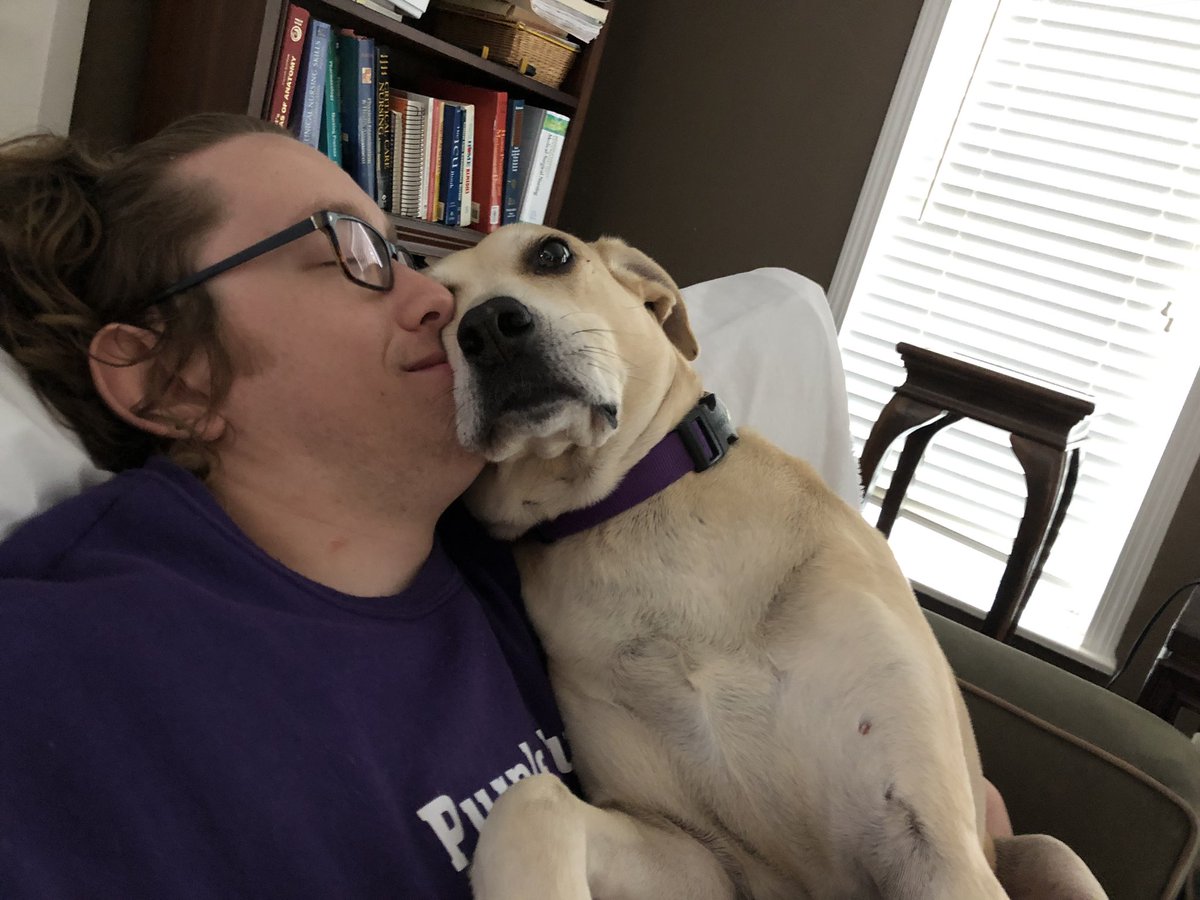 Lucy is a massive cuddle bug 
#purplepupdogservices #dogwalking #Dallas #DogsofTwittter #cutedogs