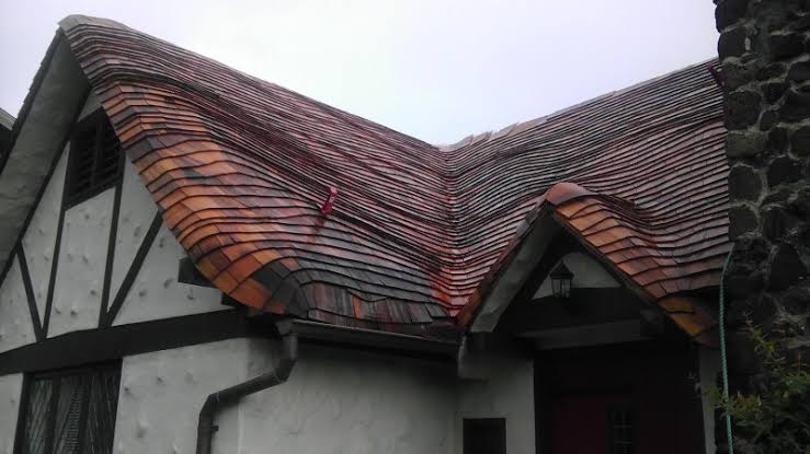 DesignWater1's tweet photo. Artistic Roof? https://t.co/Fbrq01Qu2b