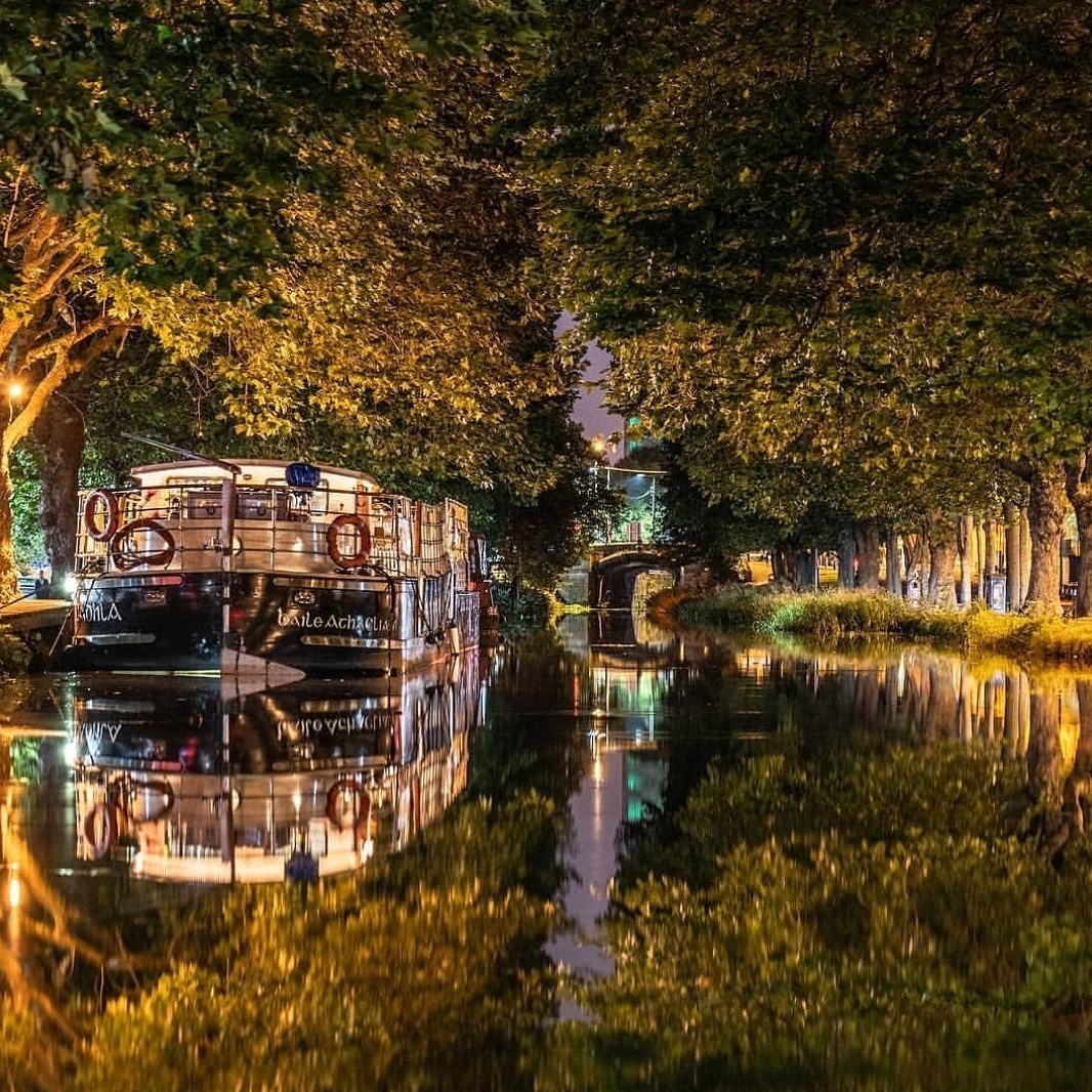MVCadhla's tweet photo. Book your #festive dinner cruise today! Perfect for an office party, family gathering or simply dinner and cocktails with a group of friends. #christmasonthecanal 

Pic by @RawDublin https://t.co/iVBt1vCMR7 https://t.co/EVtIn4b6gp