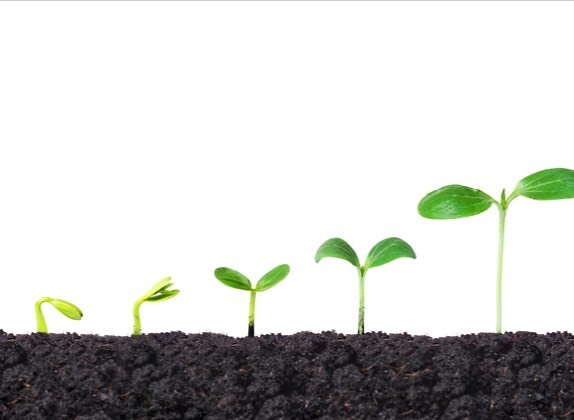 treesourceco's tweet image. We are proud to introduce Tree Source Ltd, our new company. 
Driven by a passion for trees and an ethic of sustainability, the company is dedicated to the growing, sourcing, planting and management of mature trees and indoor plant installations.

The cre… ift.tt/2DM11pK