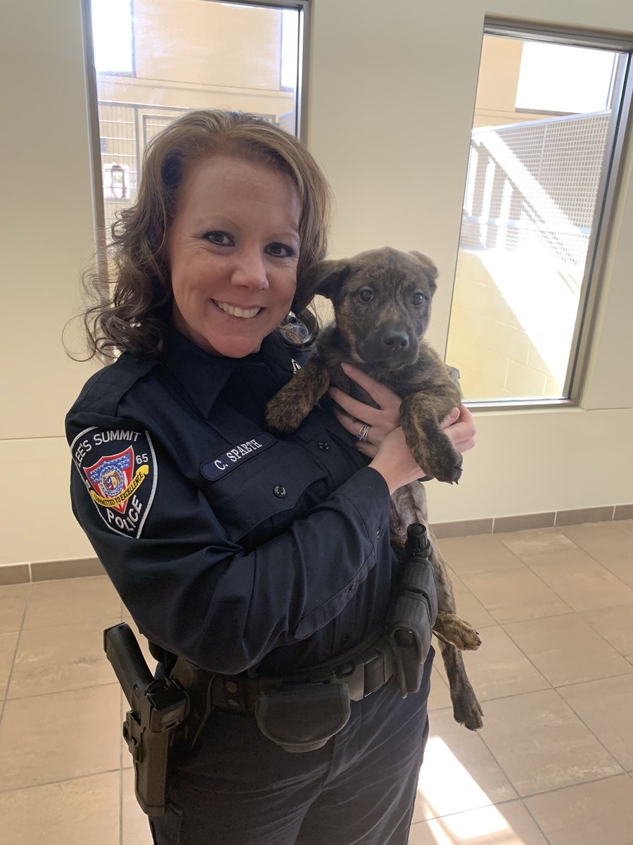 I got to visit with 13 puppies yesterday!! Best part of the week!!