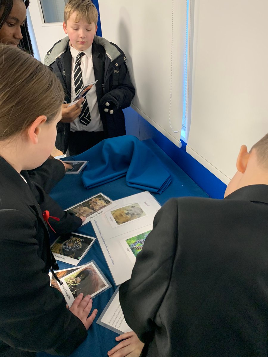Parrenthorn's tweet photo. Excellent day at Chester zoo with some year 7 pupils conducting Chimpanzee studies and exploring the zoo! https://t.co/Cl1j4VAkr4