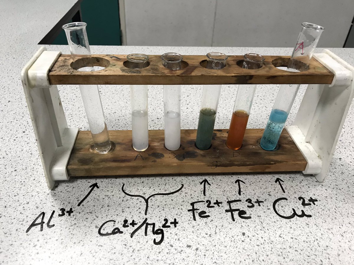 Y11 have been investigating the presence of metal ions using sodium hydroxide solution
#Y11 #hardworktrustfairness #cations #sodiumhydroxide