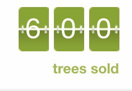 😱 that was quick! We have now sold out of 8fts and have a few of each size left. Buy your tree now at kingschristmastrees.org