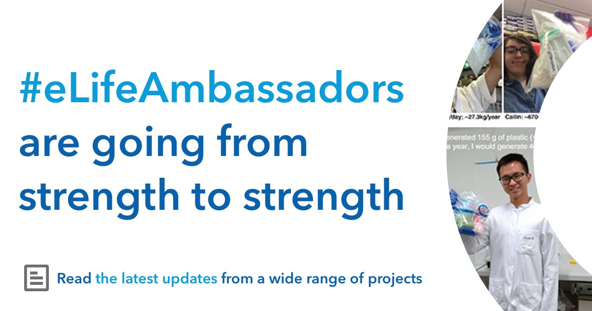 eLifeAmbassadors are going from strength to strength