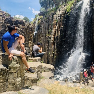 Gus tweet media
