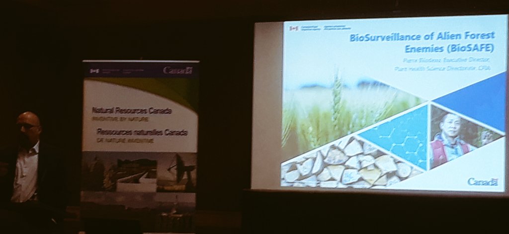 GuillaumeBilod2's tweet photo. Pierre Bilodeau @pbilodo @InspectionCan #pestforum2019 Biosurveillance of Alien forest enemies BioSAFE @BioSAFE_genome https://t.co/hu6JixV5Wu