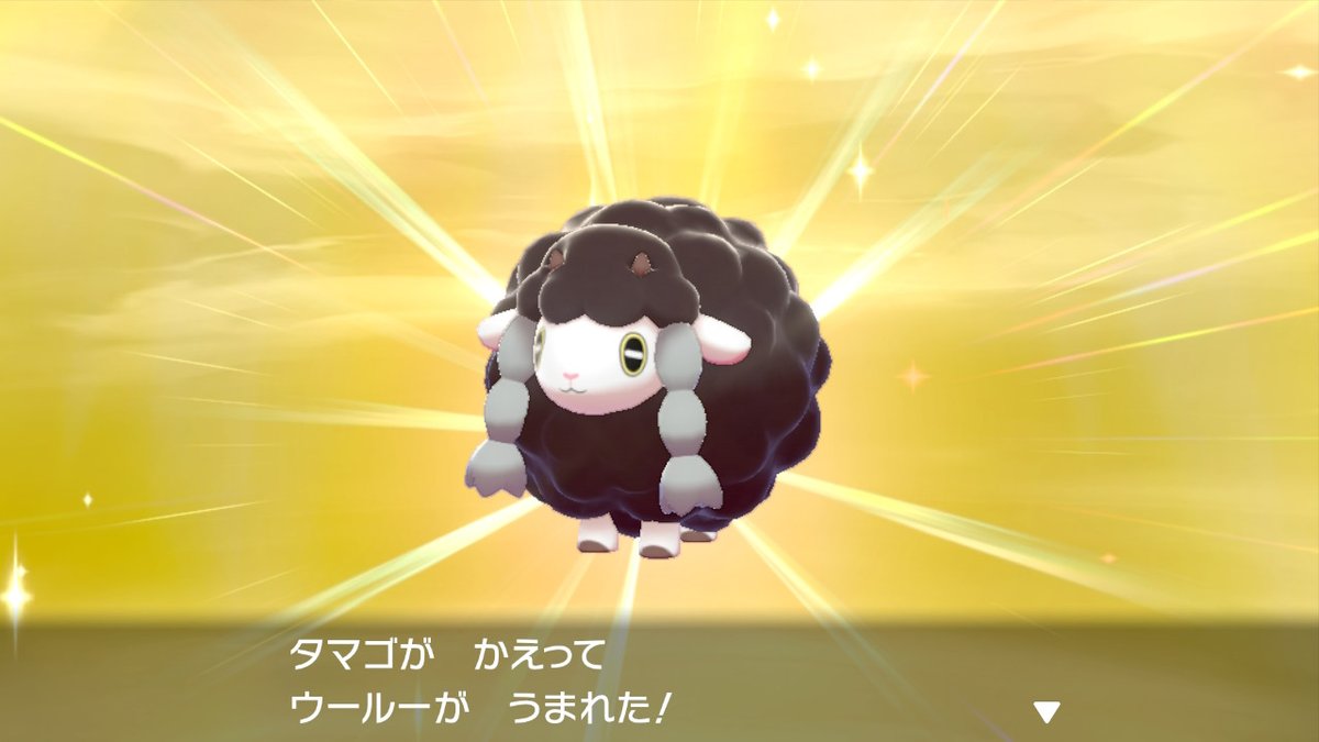 いち 色ウールー可愛い ポケモン剣盾 Nintendoswitch いち 色ウールー可愛い ポケモン剣盾 Nintendoswitch