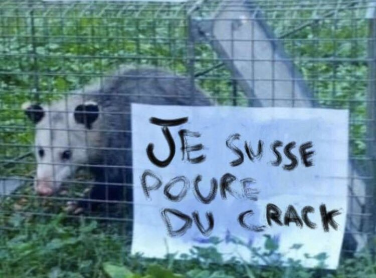 Trash_Empire's tweet photo. Un fdp : Non mais les sdf i font aucun effort en vrai si i voulaient vraiment i trouverai un taff ...
Ce meme fdp si on le met dans la rue : https://t.co/93qa4RYWH3