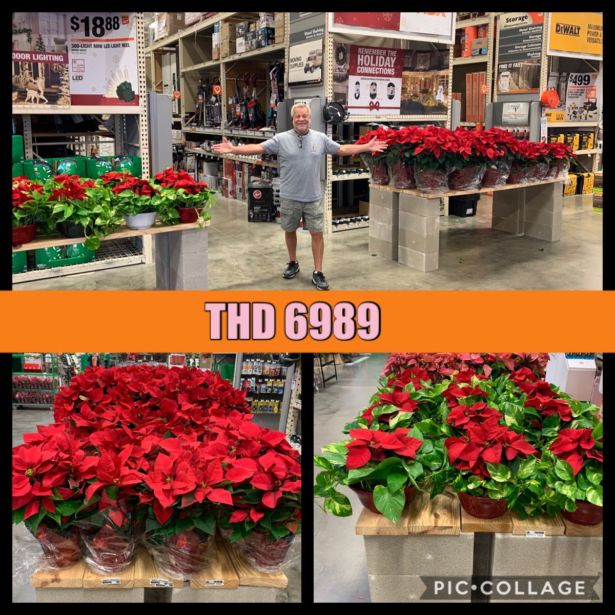 Angelo6550's tweet photo. Our Altman plant Rep. Mike is at it again setting up our Poin, Poin, Poinsettias!!!! Thanks Again Mike for all you do for our store and our customers. #partnerships #THD6989 #HappyHolidays @jreed4401 @LMcmilian @milsonwheels55 @jmmarino76 @BoerneSchroeder https://t.co/CP7T62DLBb