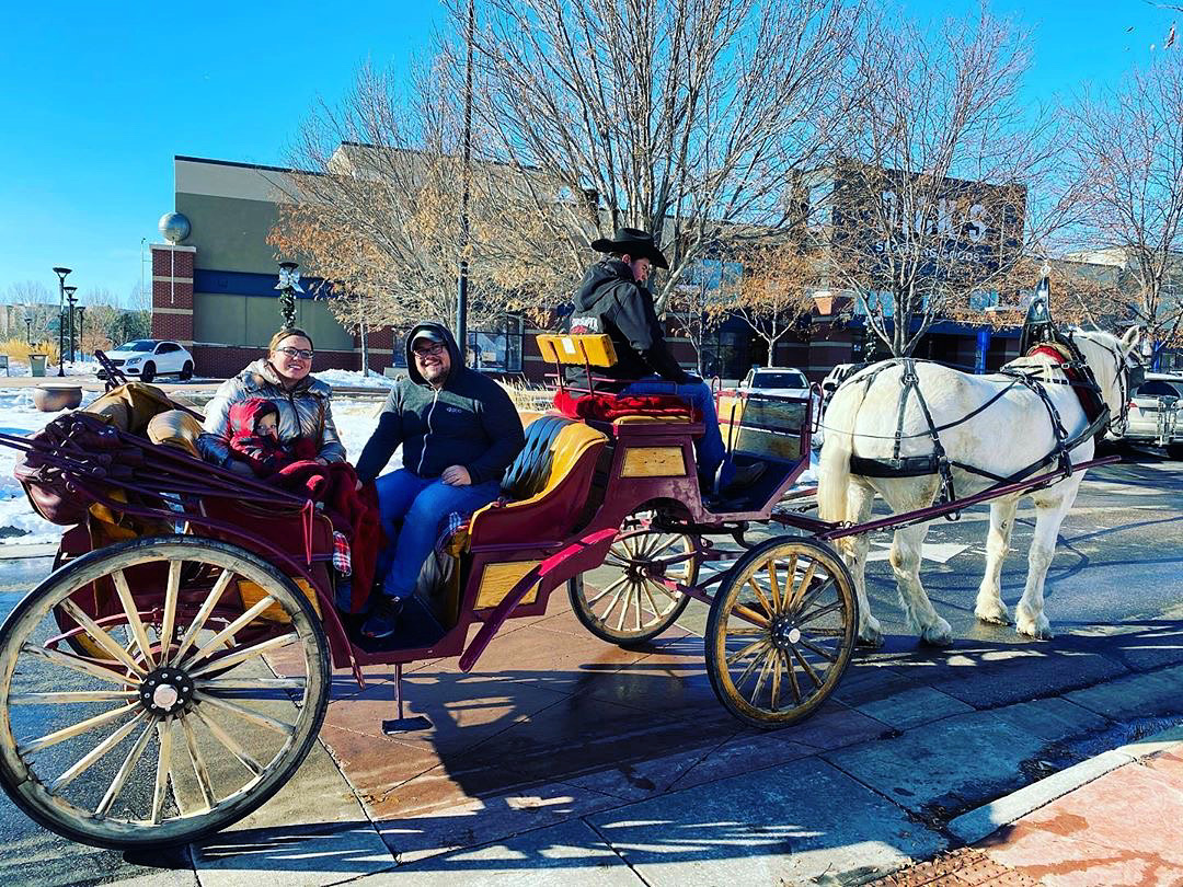 VisitLovelandCO's tweet photo. Horse-drawn carriage rides definitely get you into the holiday spirit. Catch them free at the @shopsatcenterra this winter. #visitloveland https://t.co/b8kokJd2JX