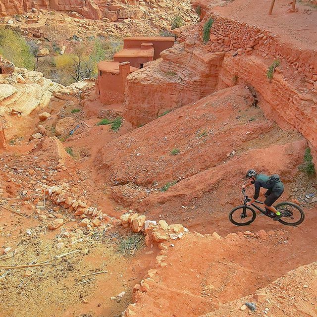 blaisecham62's tweet photo. Shredding some great single on the southern 🇲🇦
.
.
.
.
.
.
.
.
.
..
.
.
.
#mountainbiking
#desertspirit https://t.co/4GcyawpWxB https://t.co/yO3FWOYsdW