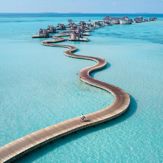 Karin Richards tweet media