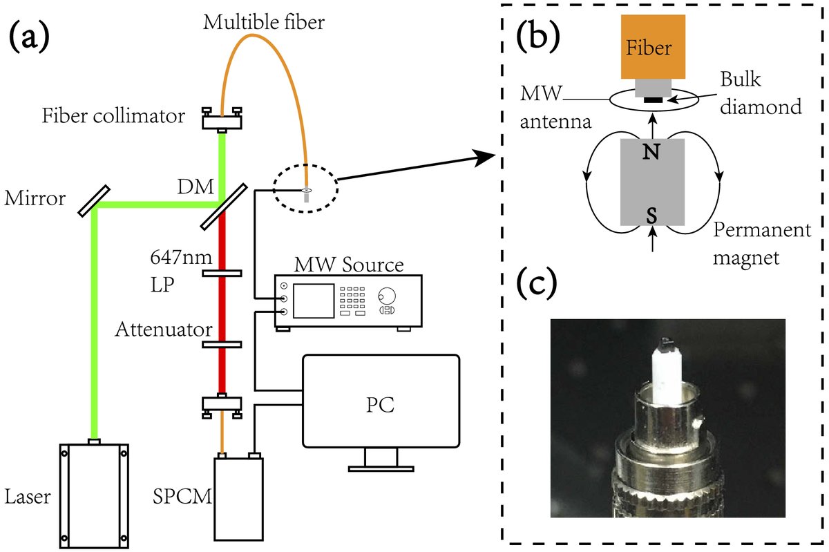 OpticaPubsGroup's tweet image. via the Materials and Devices for Quantum Photonics Feature Issue of #OSA_OMEx: Thermal-demagnetization-enhanced hybrid fiber-based thermometer coupled with nitrogen-vacancy centers ow.ly/L0xx50xs8Ef #QuantumSensors #QuantumPhotonics #FiberSensor #NVCenters #Diamond