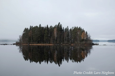 HelsinkiEU's tweet image. Come &amp;amp; discuss synergies between #SustainableForest production &amp;amp; other ecosystem services in the North European #Forestry at Helsinki EU Office on the 10th of December!

Workshop will be organised by Nordic-Baltic research organisations' network #PROFOR

👉bit.ly/2Lrt029