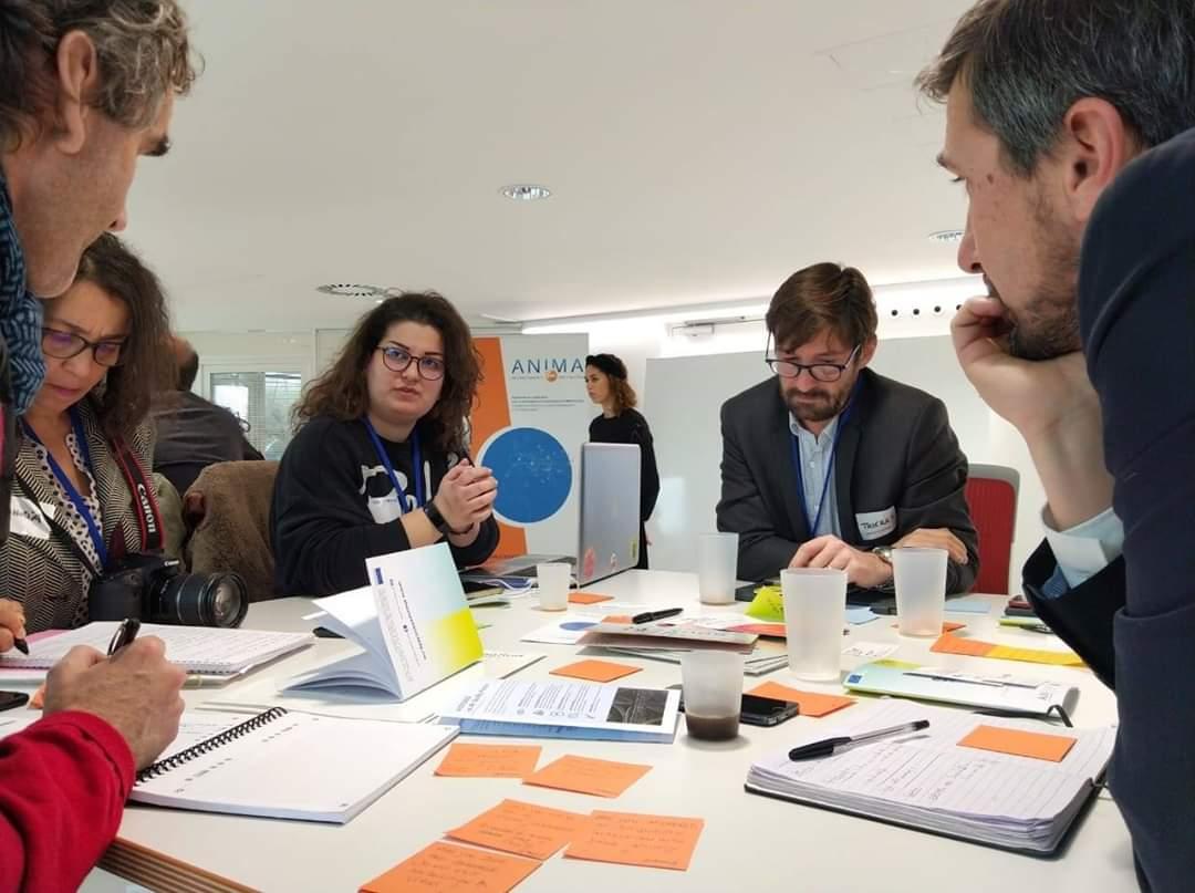 DannyRomanos79's tweet photo. From @CHEDIDROSABELLE participation in the @emergingvalley International Summit 2019 @Marseille representing #CGreen.
Thanks @berytech & @TheNext_Society for giving us this opportunity.
#Technology #Innovation #MARKET #BERYTECH #Sustainability #Ecology #Cleantech
@USEKOfficial https://t.co/JjsETaD0Ad