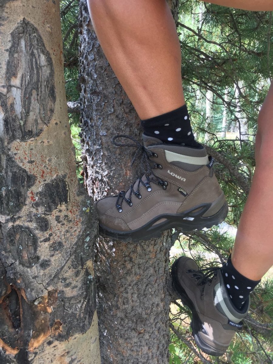 WildGalway's tweet photo. Get introduced to the #Lowa family!
Footwear is one of the most important things to get right when #walking or #hiking | #Treatyourfeet with @lowa_uk  https://t.co/C20yfbUSN1 
#LoveLowa #HikeThursdays #HikeGalway #HikeIreland #GetWild #CalloftheWildGalway #YourOutdoorStore https://t.co/X3NozcQqCo