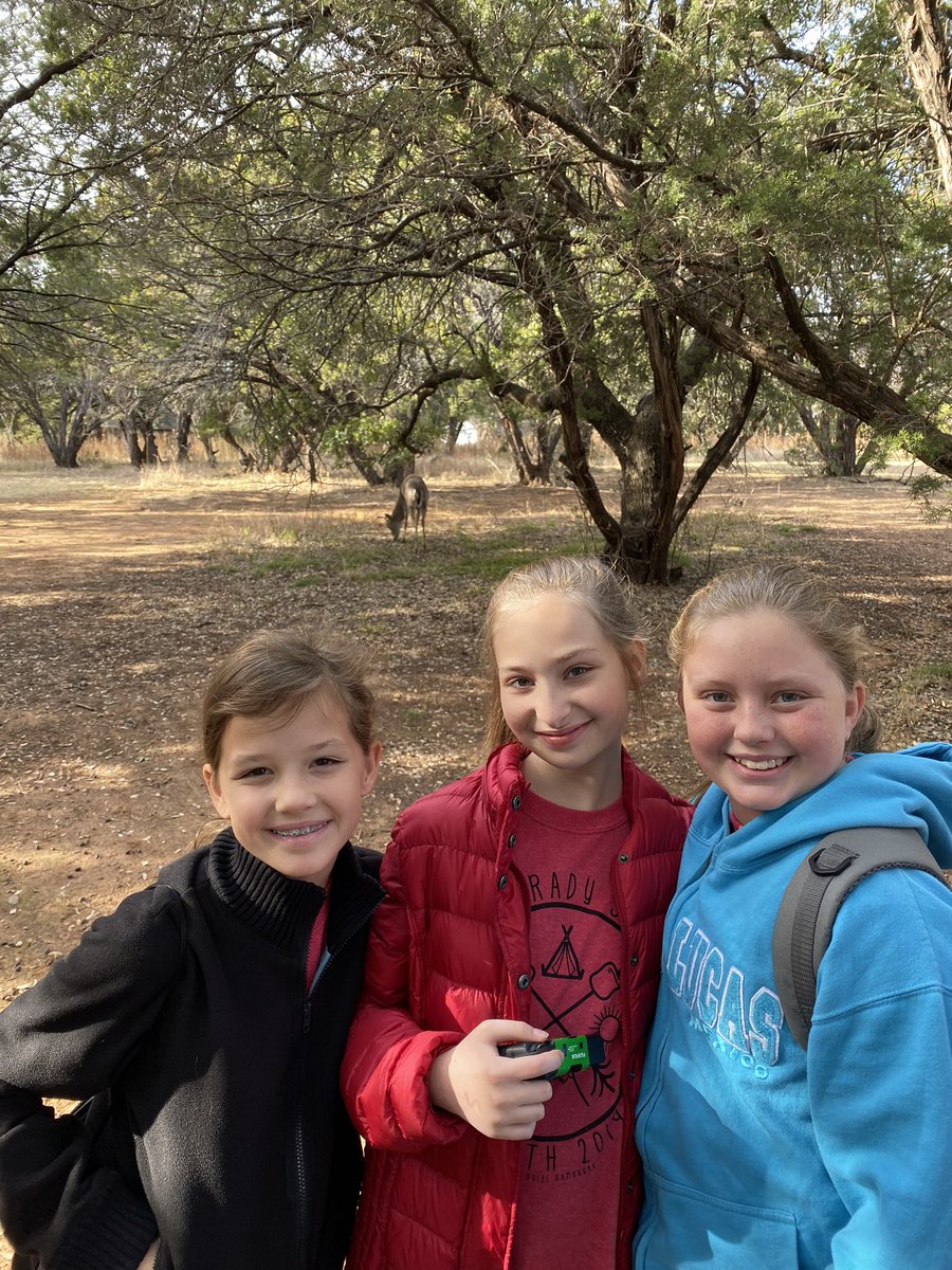 msfreeman100's tweet photo. A deer came and stopped by during our orienteering lesson! The kids did a great job staying quiet and becoming deer paparazzi. #wilmeth #mymisd https://t.co/DWEh8MGrQD