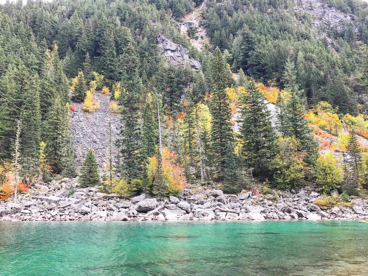 FATFEastVan's tweet photo. Throwback to one of last fall’s hikes in Chilliwack. We saw a bobcat on this trip! We also totally froze at the lake even though we brought enough layers to warm a small town. There was an icy wind swirling up in those mountains. We renamed ... https://t.co/BMtLlMtxTA https://t.co/mWLJlBNFNs