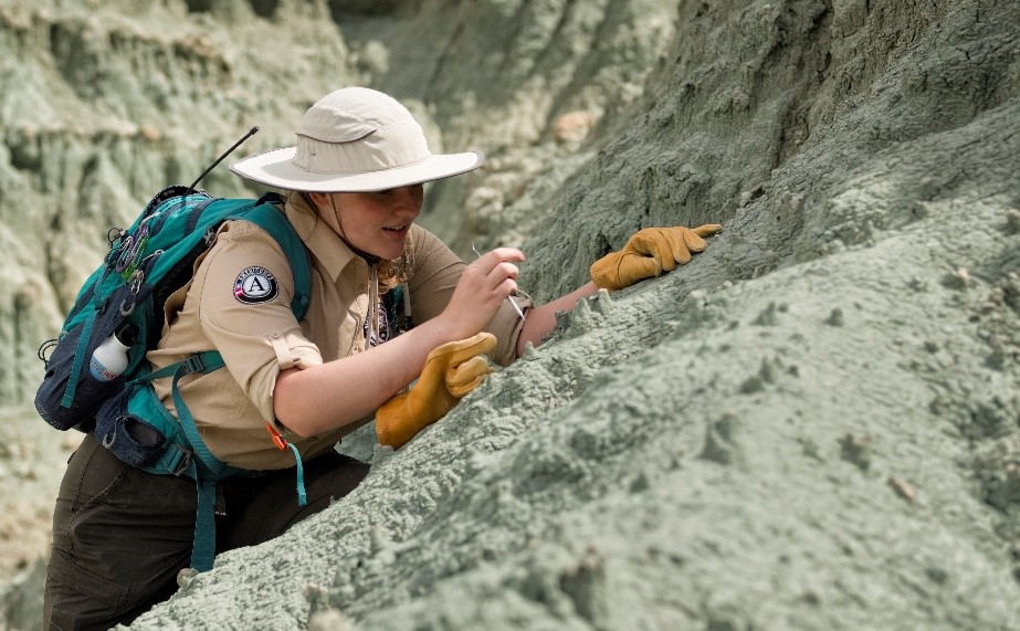 Person in field attire leaning up against green sloping rock face looking for fossils.