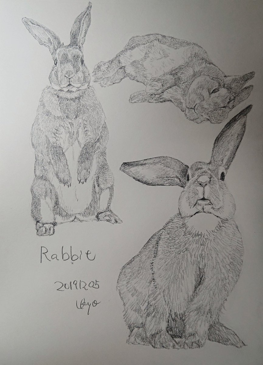 Twitter पर Kagetsu Ukyo 卯京 華月 今日の落書き ウサギづくし いつも野うさぎばかりだから W 落書き 鉛筆画 練習 素描 一日一絵 今日の落書き 絵描き Art 絵描き人 絵描きの輪 絵描きさんとつながりたい イラストの森 イラスト基地